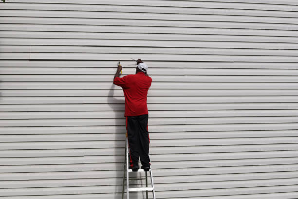 Best Siding Painting and Refinishing  in Republic, MO